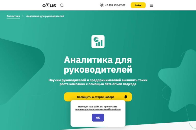 Otus: курс «Аналитика для руководителей» – мой отзыв