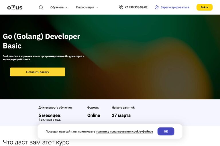 Otus: курс «Go (Golang) Developer. Basic – курс по языку Go для новичков» – мой отзыв