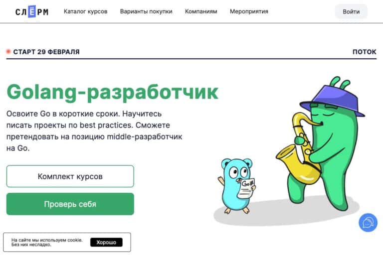 Слёрм: курс «Golang-разработчик» – честный отзыв