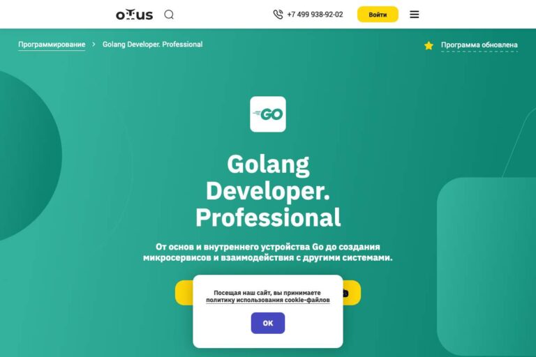 Otus: курс «Golang Developer. Professional. Язык Go на профессиональном уровне» – мой отзыв